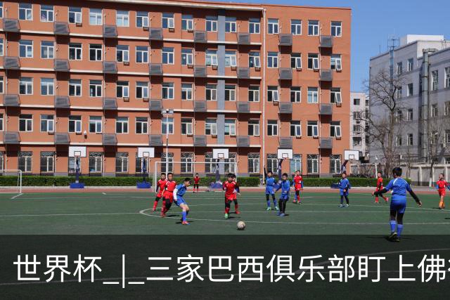 世界杯 | 三家巴西俱乐部盯上佛得角队门将沃津尼亚